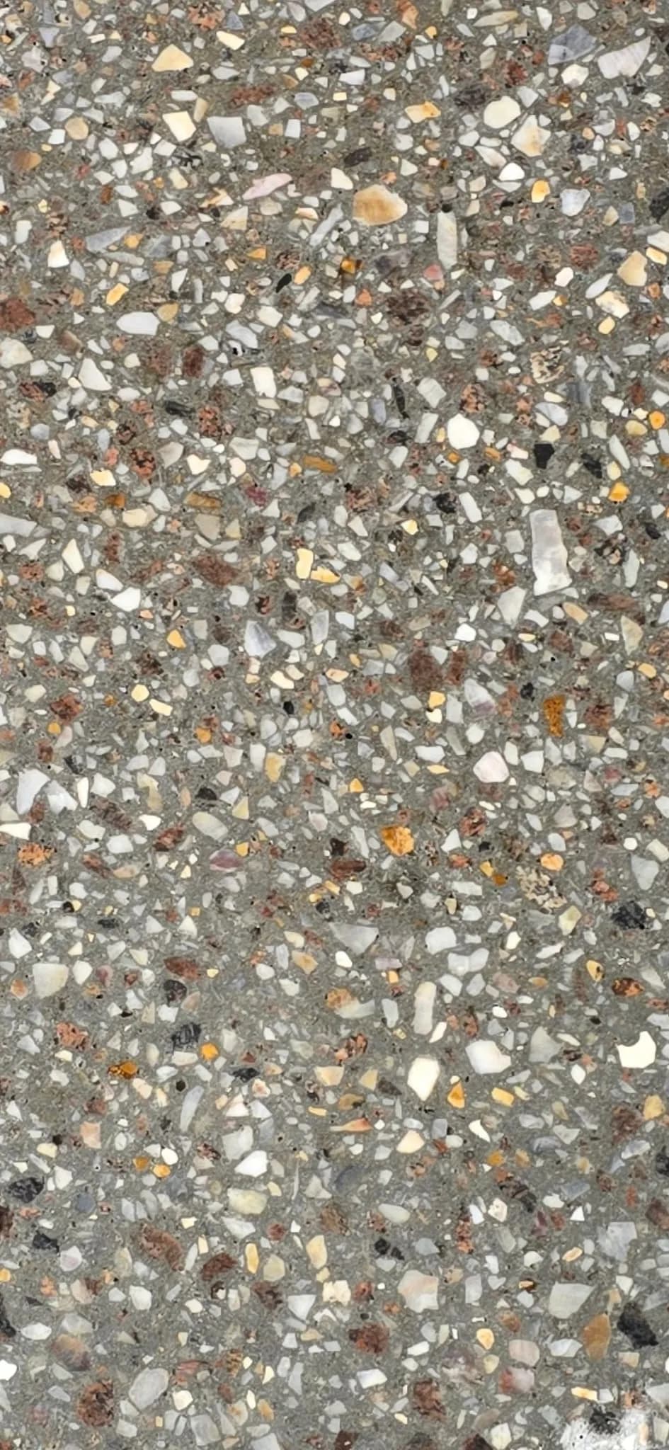 Close up of honed exposed aggregate showing cut stone faces and colour brought out by grinding